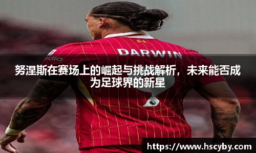 努涅斯在赛场上的崛起与挑战解析，未来能否成为足球界的新星